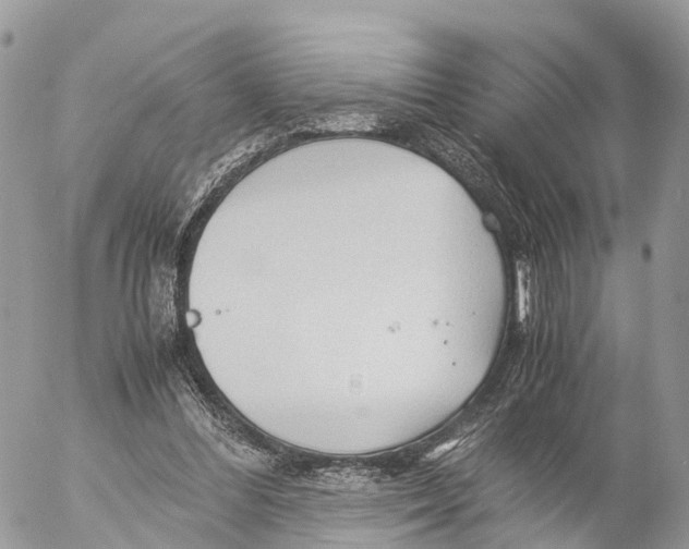 X0000053090300200508081318