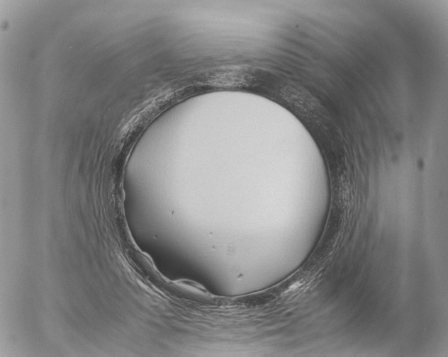 X0000053090303200508081318