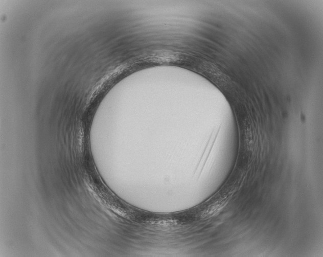 X0000053090304200508081318