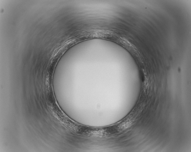 X0000053090306200508081318