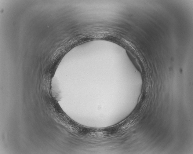 X0000053090307200508081318