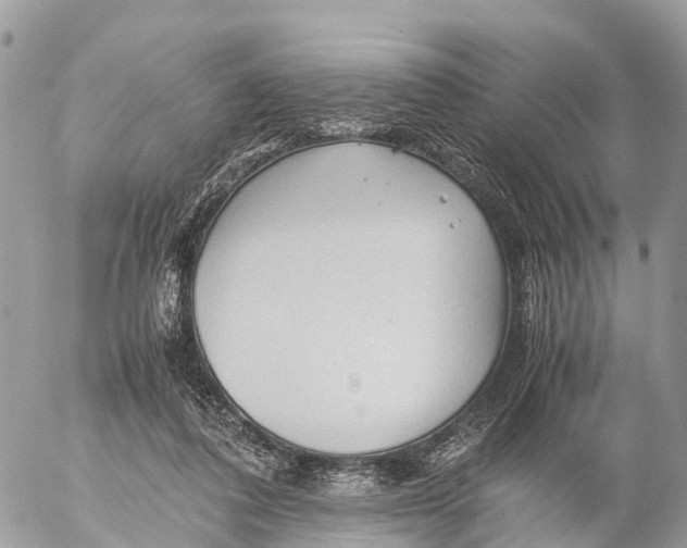 X0000053090308200508081318