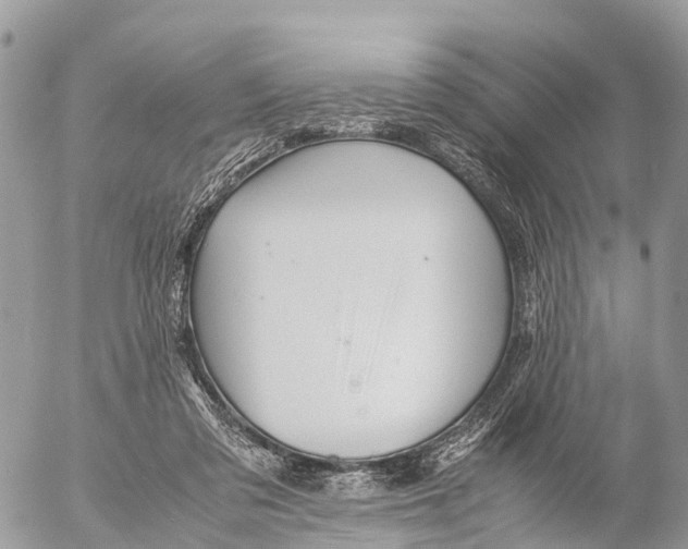 X0000053090309200508081318