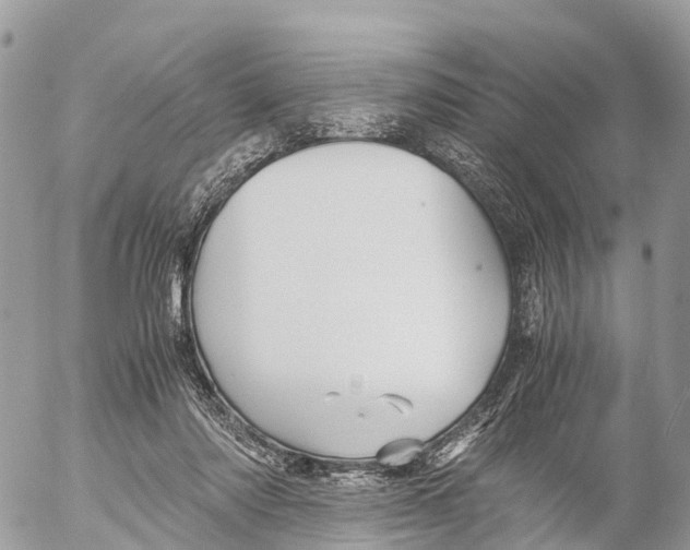 X0000053090310200508081317