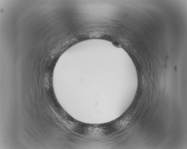 X0000053090311200508081317