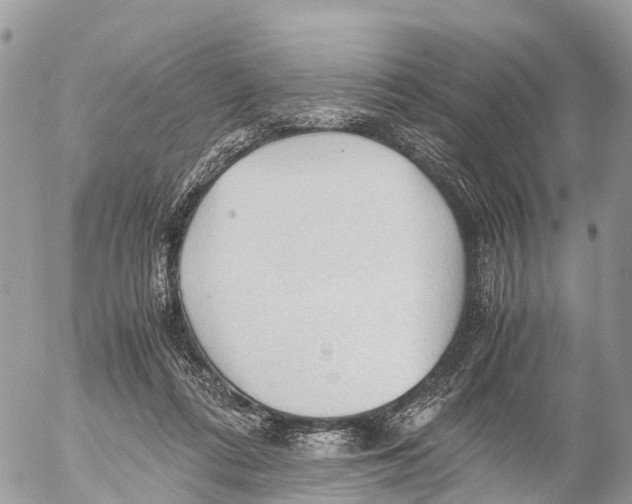 X0000053090312200508081317