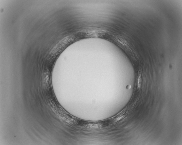 X0000053090314200508081317