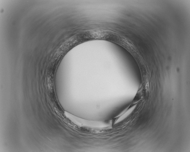 X0000053090317200508081317