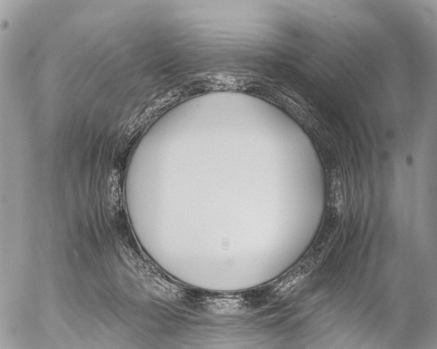 X0000053090318200508081317