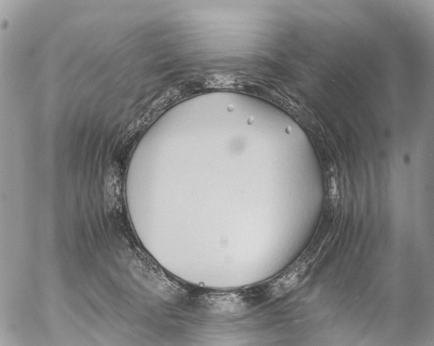 X0000053090322200508081317