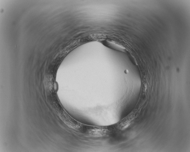 X0000053090323200508081317