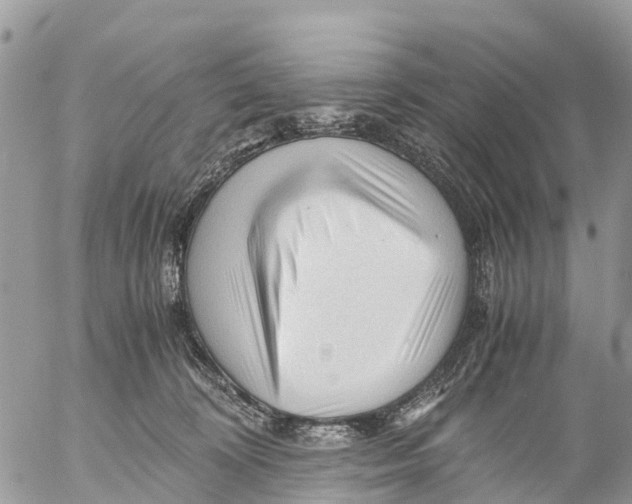 X0000053090324200508081317