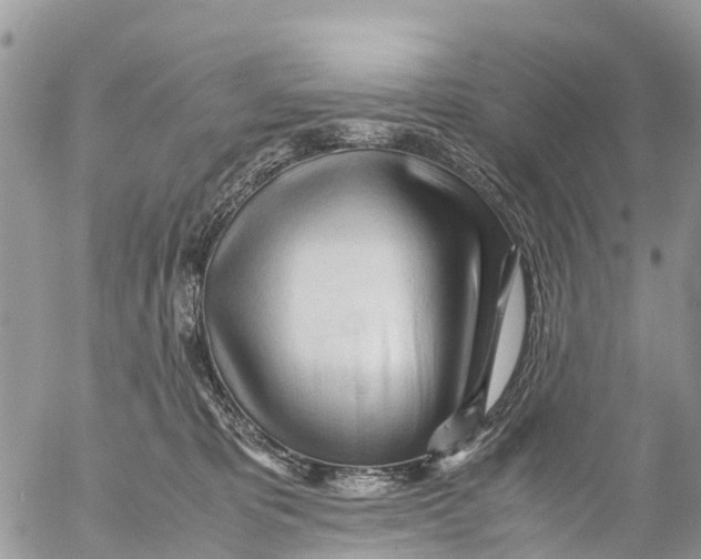 X0000053090325200508081317