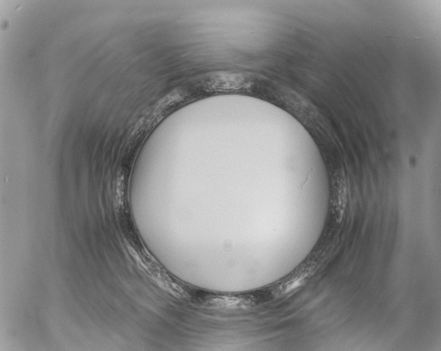 X0000053090326200508081317