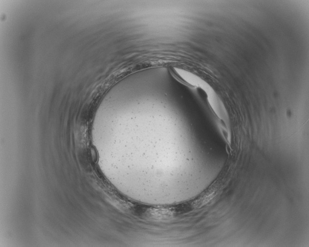 X0000053090327200508081317