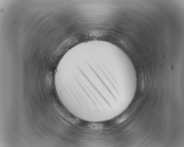 X0000053090328200508081317