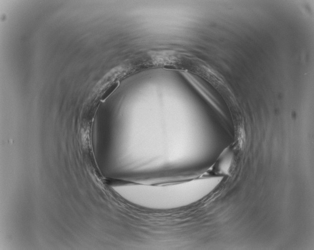 X0000053090329200508081317