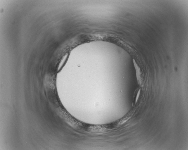 X0000053090331200508081317