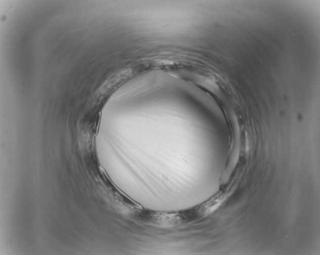 X0000053090333200508081317