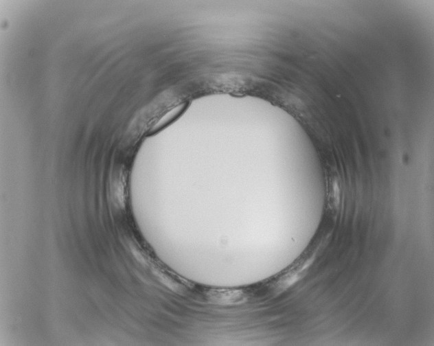 X0000053090334200508081317