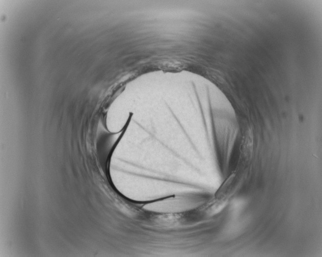 X0000053090335200508081317