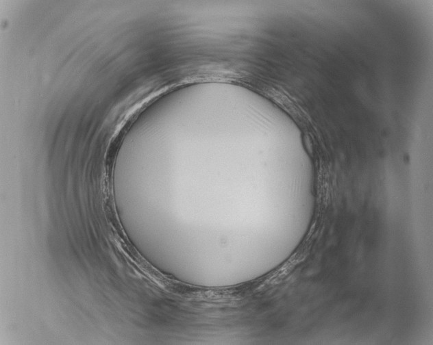 X0000053090338200508081316