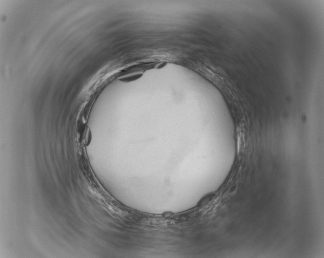 X0000053090339200508081316