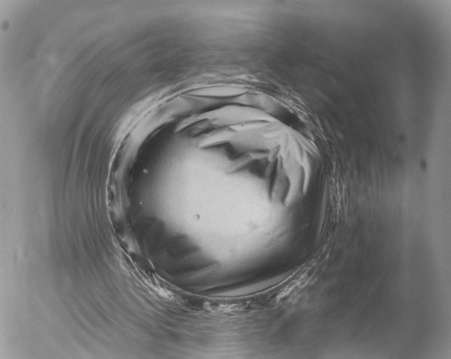 X0000053090340200508081316