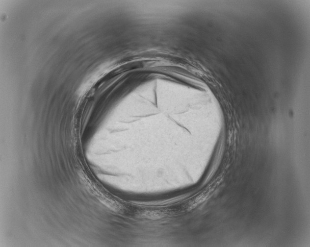 X0000053090341200508081316