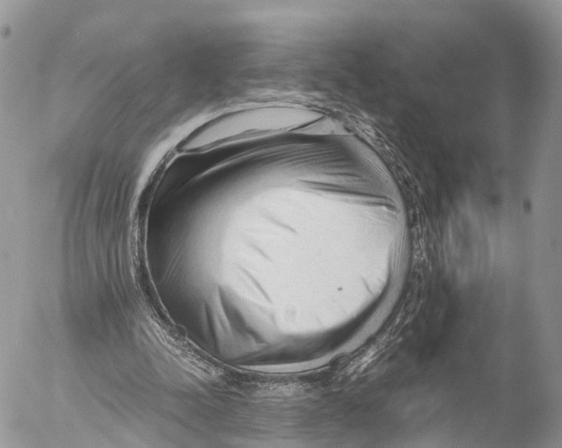 X0000053090342200508081316