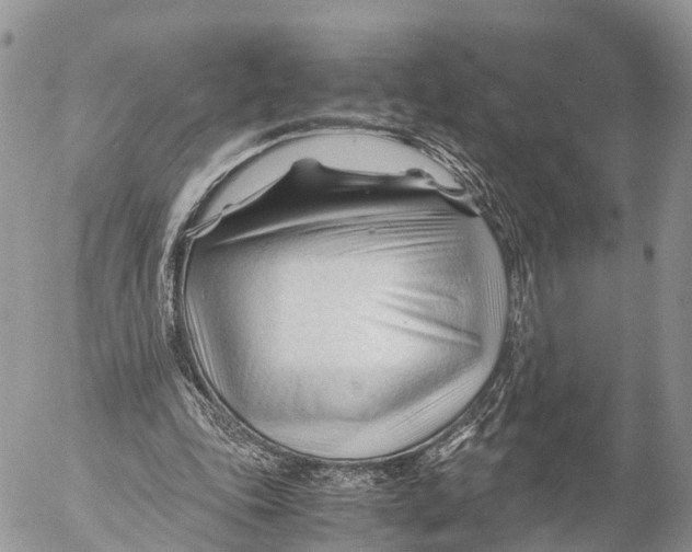 X0000053090343200508081316