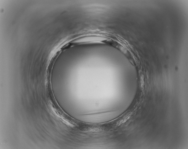 X0000053090344200508081316