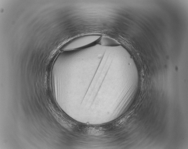 X0000053090346200508081316