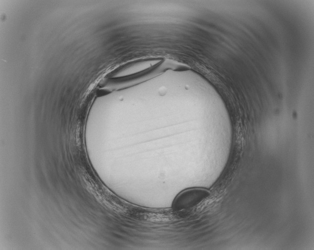 X0000053090347200508081316