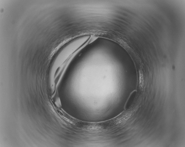 X0000053090348200508081316