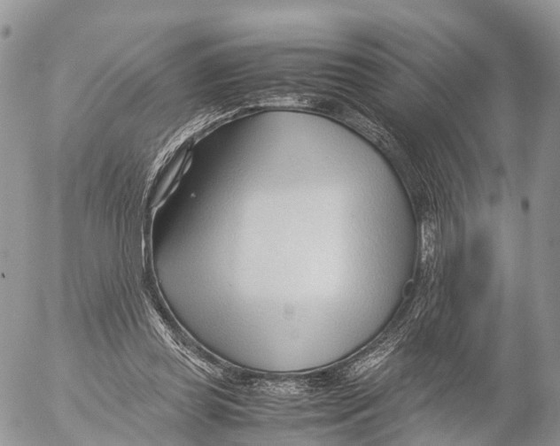 X0000053090349200508081316