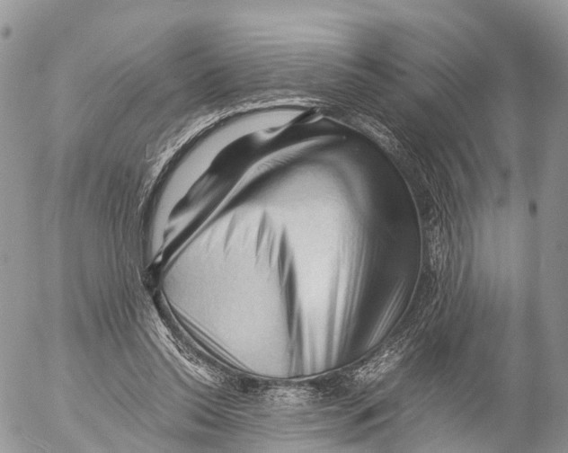 X0000053090350200508081316