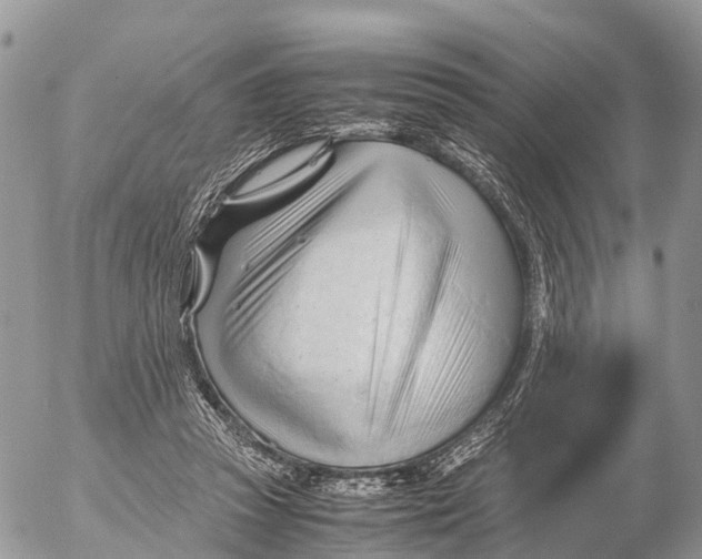 X0000053090353200508081316