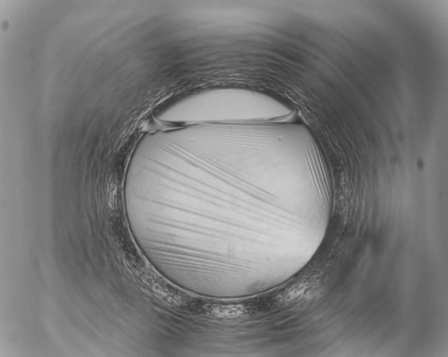 X0000053090355200508081316