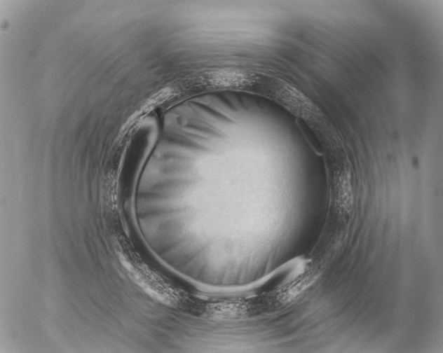 X0000053090356200508081316