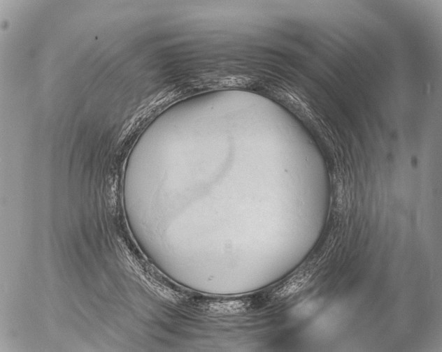 X0000053090357200508081316