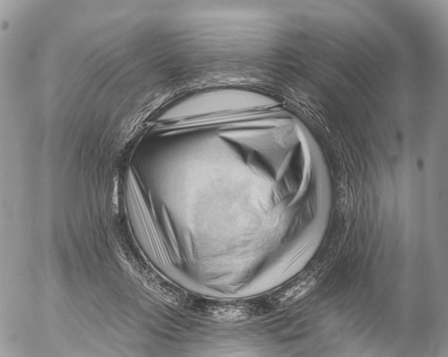 X0000053090358200508081317