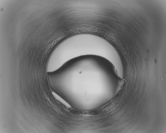 X0000053090360200508081317