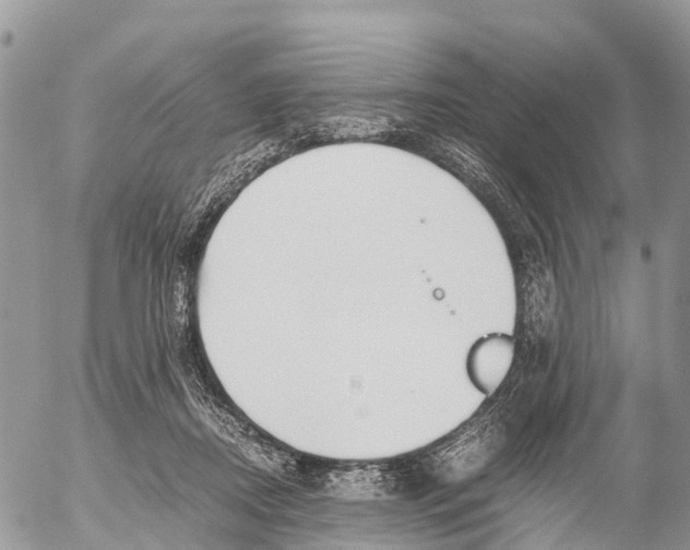 X0000053090362200508081317