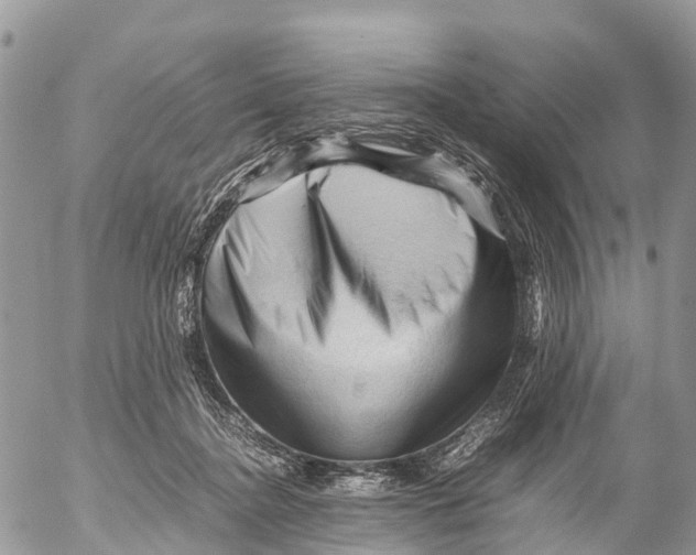 X0000053090364200508081317