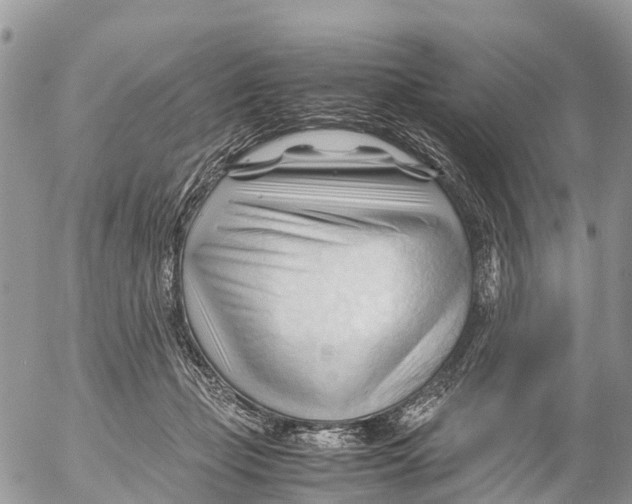 X0000053090365200508081317