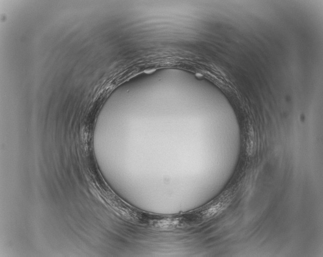 X0000053090366200508081317