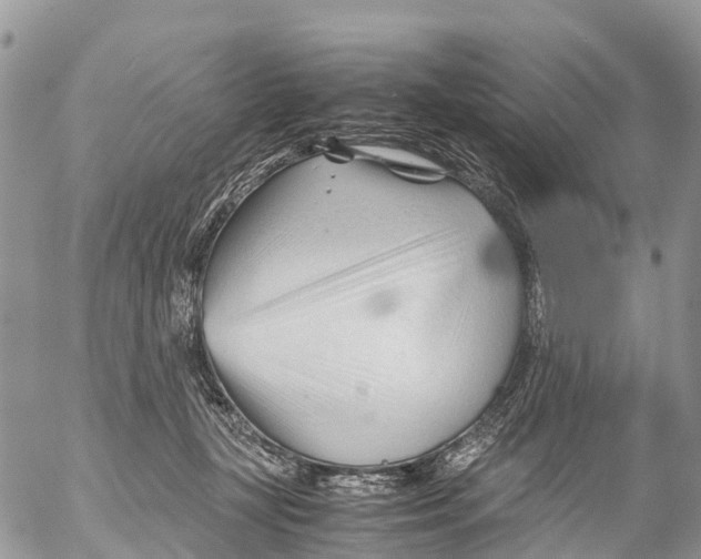 X0000053090367200508081317