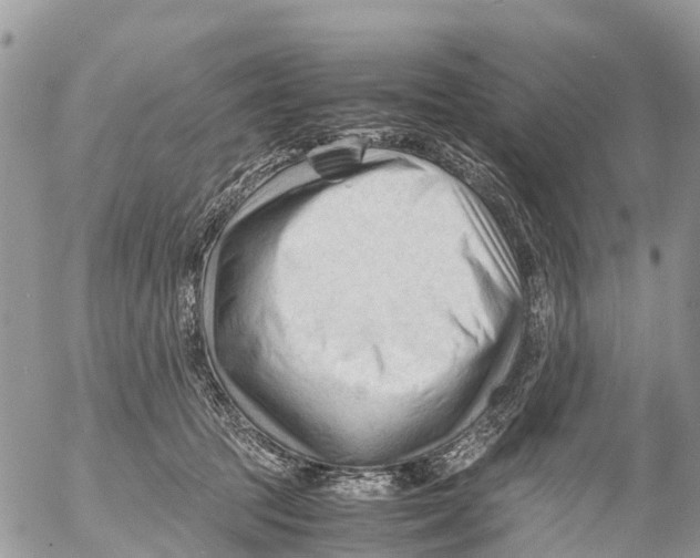 X0000053090369200508081317