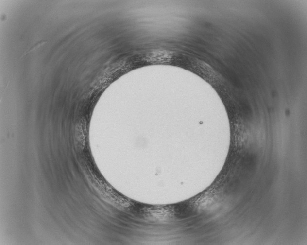 X0000053090370200508081317